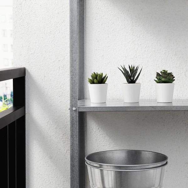 3 Pack of Artificial Succulent Potted Plants in White Plastic 6cm Pot Interior Decoration V382-3SUCCULENTPOTTED