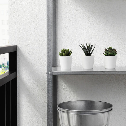3 Pack of Artificial Succulent Potted Plants in White Plastic 6cm Pot Interior Decoration V382-3SUCCULENTPOTTED
