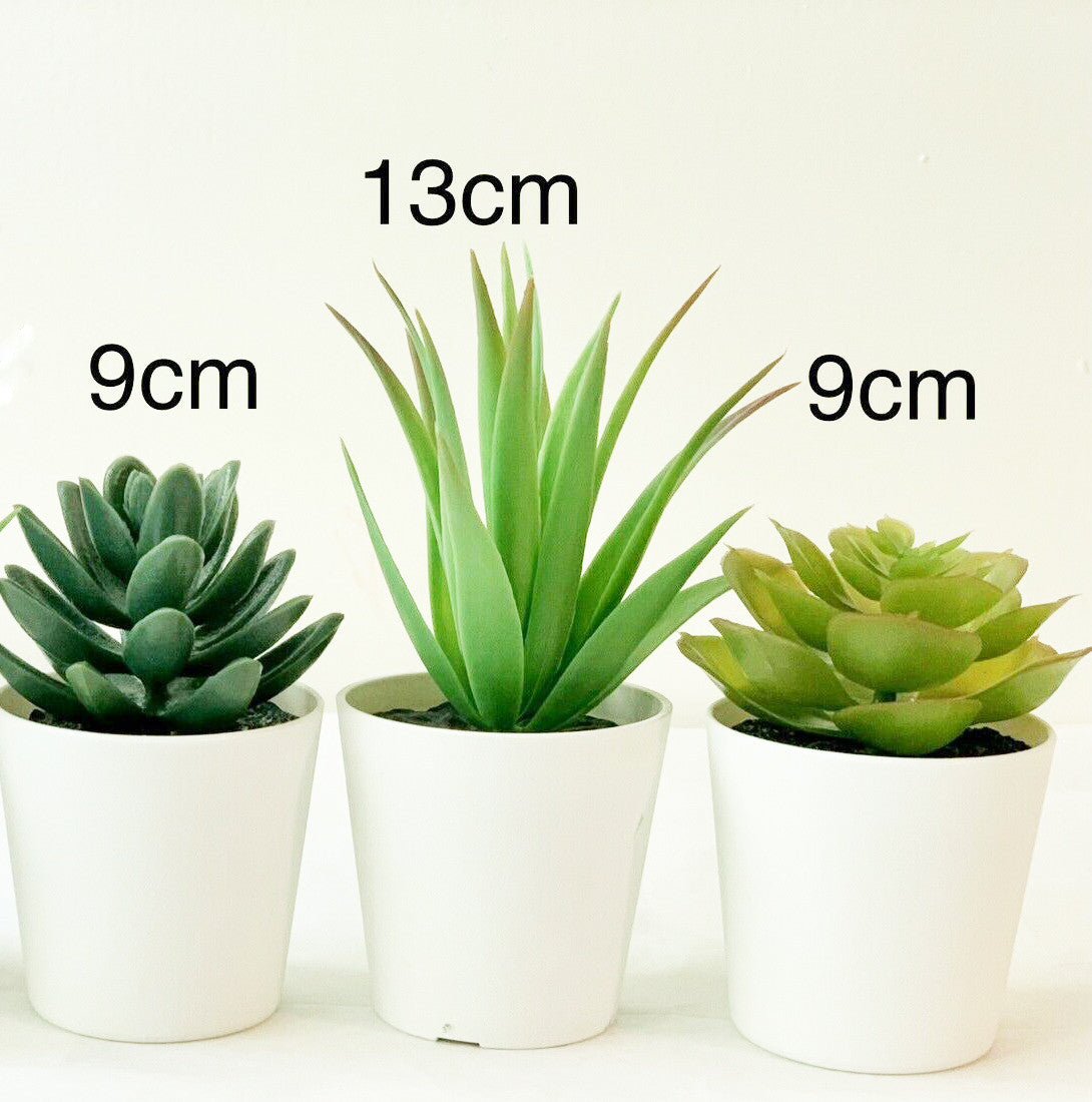 3 Pack of Artificial Succulent Potted Plants in White Plastic 6cm Pot Interior Decoration V382-3SUCCULENTPOTTED