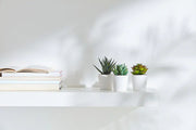3 Pack of Artificial Succulent Potted Plants in White Plastic 6cm Pot Interior Decoration V382-3SUCCULENTPOTTED