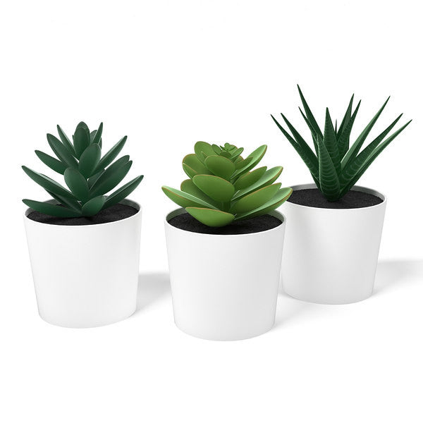 3 Pack of Artificial Succulent Potted Plants in White Plastic 6cm Pot Interior Decoration V382-3SUCCULENTPOTTED