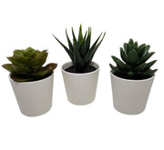 3 Pack of Artificial Succulent Potted Plants in White Plastic 6cm Pot Interior Decoration V382-3SUCCULENTPOTTED