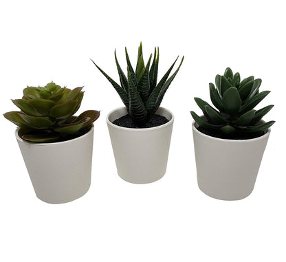 3 Pack of Artificial Succulent Potted Plants in White Plastic 6cm Pot Interior Decoration V382-3SUCCULENTPOTTED