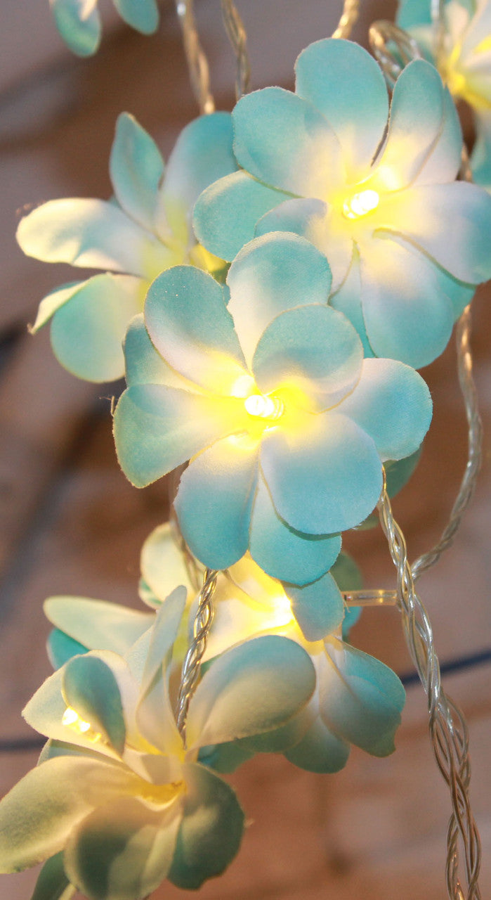 1 Set of 20 LED Tropical Blue Frangipani Flower Battery 3m String Lights Christmas Gift Home Wedding Beach V382-BLUEFRANGIBATT20