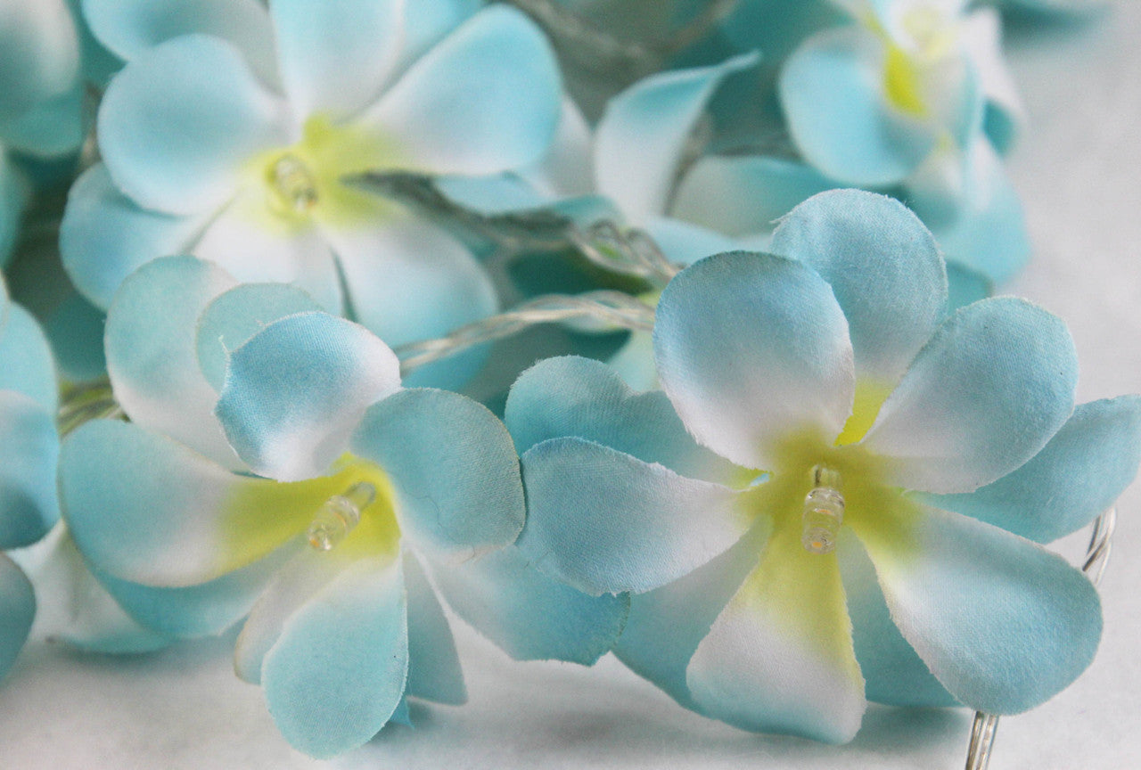 1 Set of 20 LED Tropical Blue Frangipani Flower Battery 3m String Lights Christmas Gift Home Wedding Beach V382-BLUEFRANGIBATT20