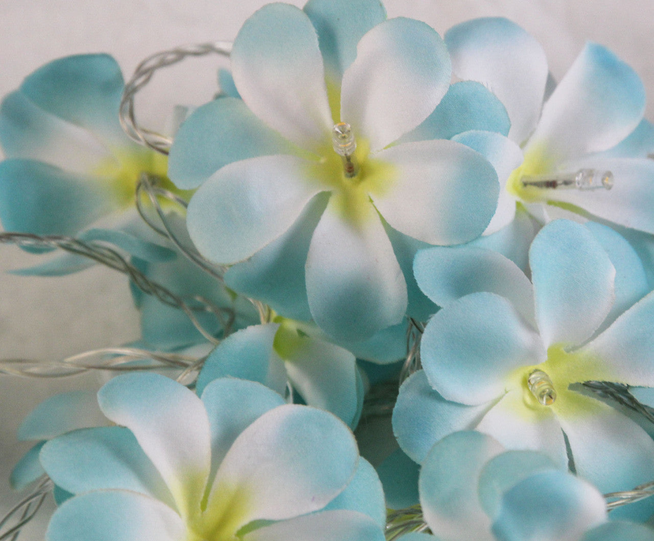 1 Set of 50 LED Tropical Blue Frangipani Flower Battery 5m LONG String Lights Christmas Gift Home Wedding V382-BLUEFRANGIBATT50