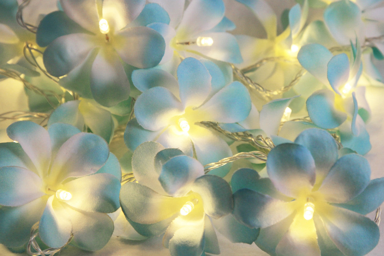 1 Set of 50 LED Tropical Blue Frangipani Flower Battery 5m LONG String Lights Christmas Gift Home Wedding V382-BLUEFRANGIBATT50
