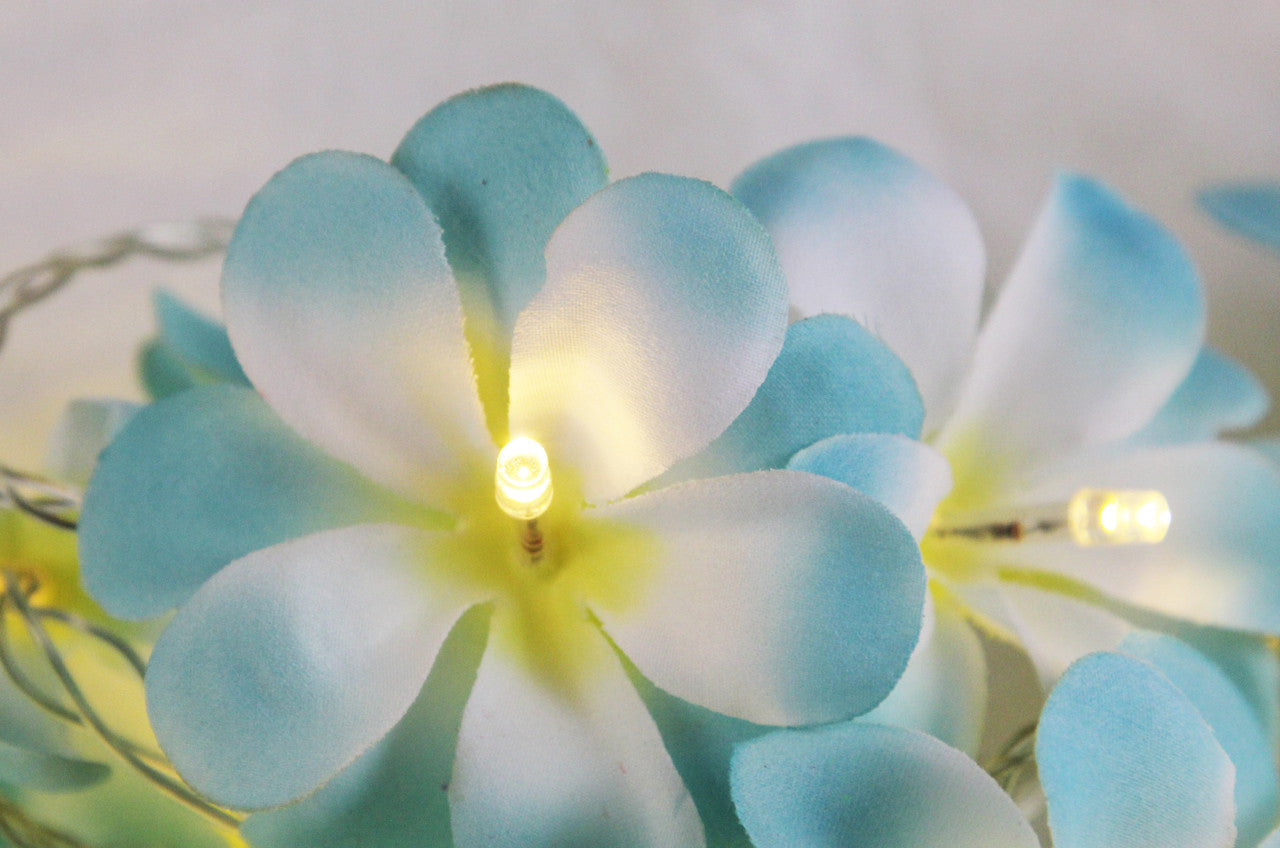 1 Set of 50 LED Tropical Blue Frangipani Flower Battery 5m LONG String Lights Christmas Gift Home Wedding V382-BLUEFRANGIBATT50