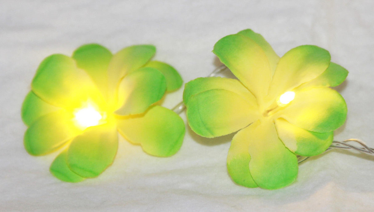 1 Set of 20 LED Green Frangipani Flower Battery String Lights Christmas Gift Home Wedding Party Decoration V382-GRFRANGIBATT20