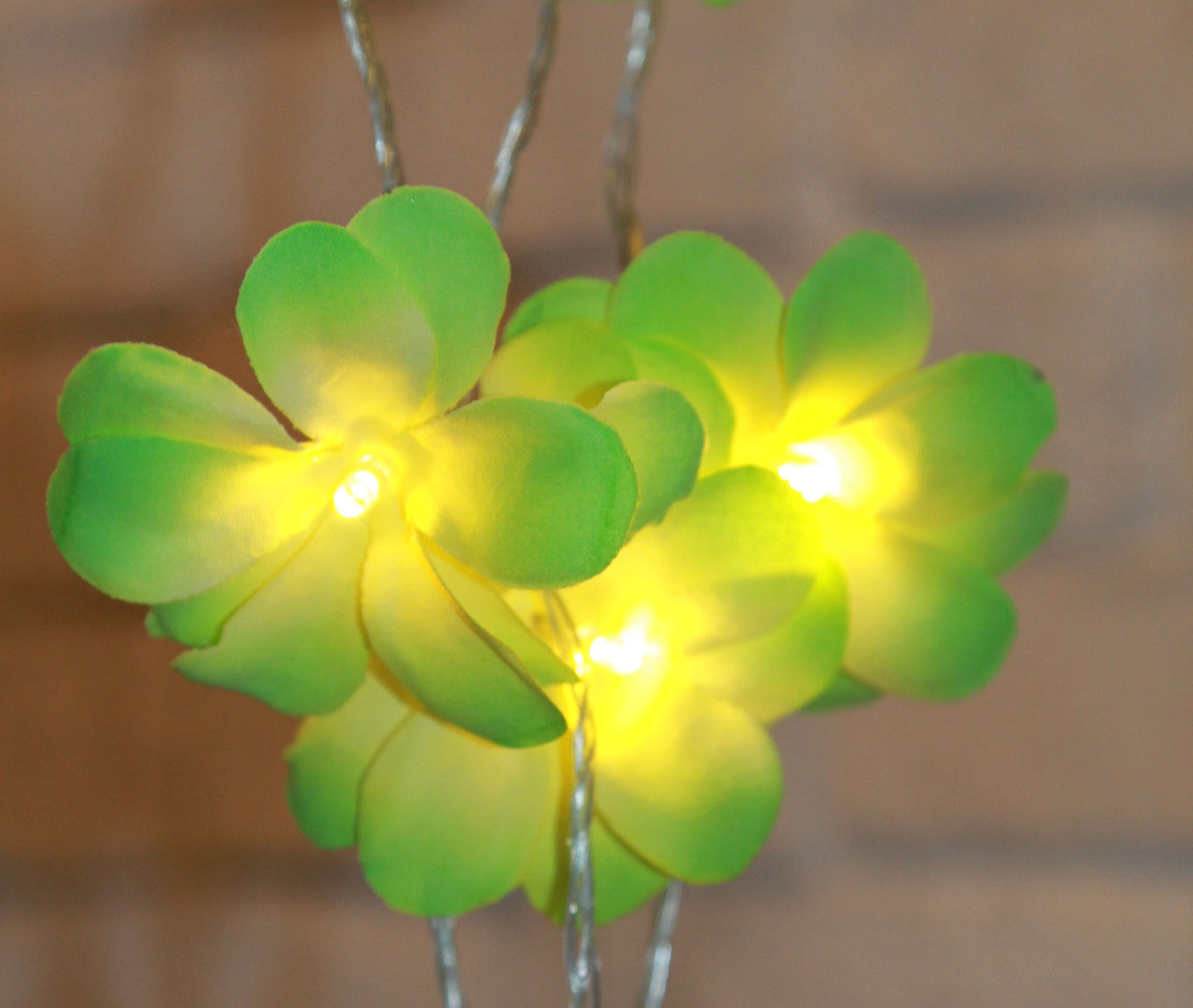 1 Set of 20 LED Green Frangipani Flower Battery String Lights Christmas Gift Home Wedding Party Decoration V382-GRFRANGIBATT20