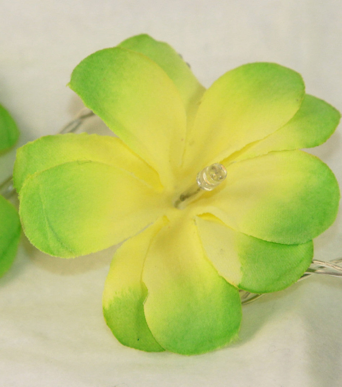 1 Set of 20 LED Green Frangipani Flower Battery String Lights Christmas Gift Home Wedding Party Decoration V382-GRFRANGIBATT20