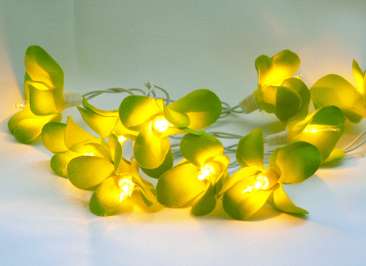 1 Set of 20 LED Green Frangipani Flower Battery String Lights Christmas Gift Home Wedding Party Decoration V382-GRFRANGIBATT20