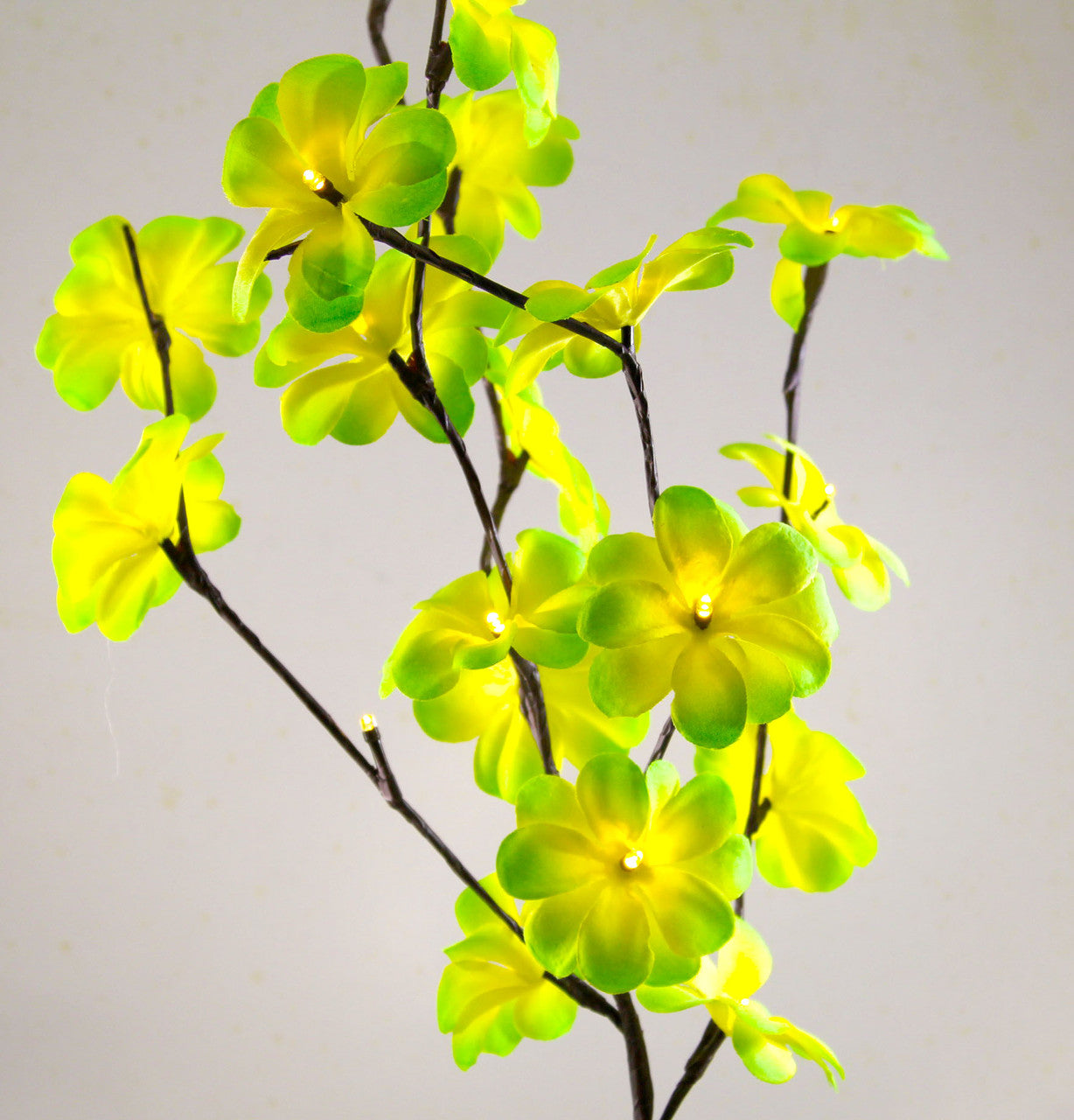 1 Set of 50cm H 20 LED Green Frangipani Tree Branch Stem Fairy Light Wedding Event Party Function Table Vase V382-GRFRANGISTEMBATT