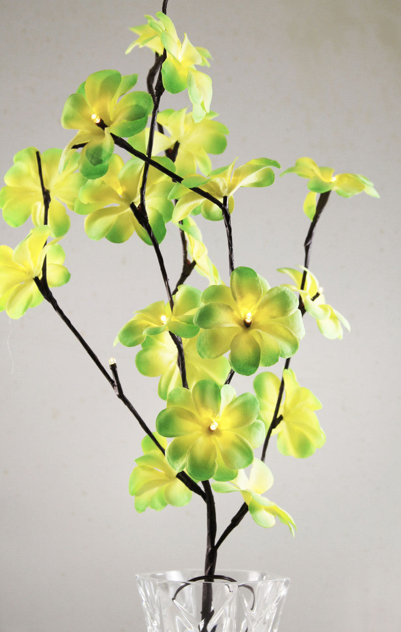 1 Set of 50cm H 20 LED Green Frangipani Tree Branch Stem Fairy Light Wedding Event Party Function Table Vase V382-GRFRANGISTEMBATT