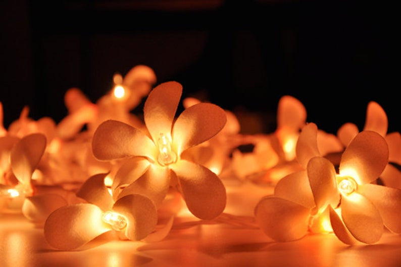 1 Set of 20 LED Orange Frangipani Flower Battery String Lights Christmas Gift Home Wedding Party Decoration V382-ORFRANGIBATT20