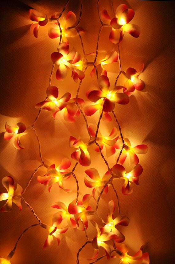 1 Set of 20 LED Orange Frangipani Flower Battery String Lights Christmas Gift Home Wedding Party Decoration V382-ORFRANGIBATT20