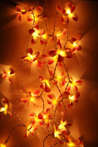 1 Set of 20 LED Orange Frangipani Flower Battery String Lights Christmas Gift Home Wedding Party Decoration V382-ORFRANGIBATT20