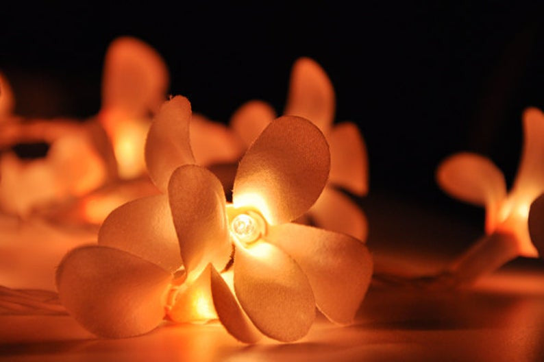 1 Set of 20 LED Orange Frangipani Flower Battery String Lights Christmas Gift Home Wedding Party Decoration V382-ORFRANGIBATT20