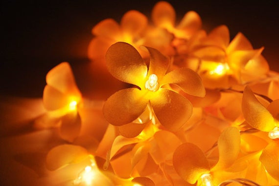 1 Set of 20 LED Orange Frangipani Flower Battery String Lights Christmas Gift Home Wedding Party Decoration V382-ORFRANGIBATT20