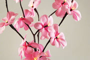 1 Set of 50cm H 20 LED Pink Frangipani Tree Branch Stem Fairy Light Wedding Event Party Function Table Vase V382-PKFRANGISTEMBATT