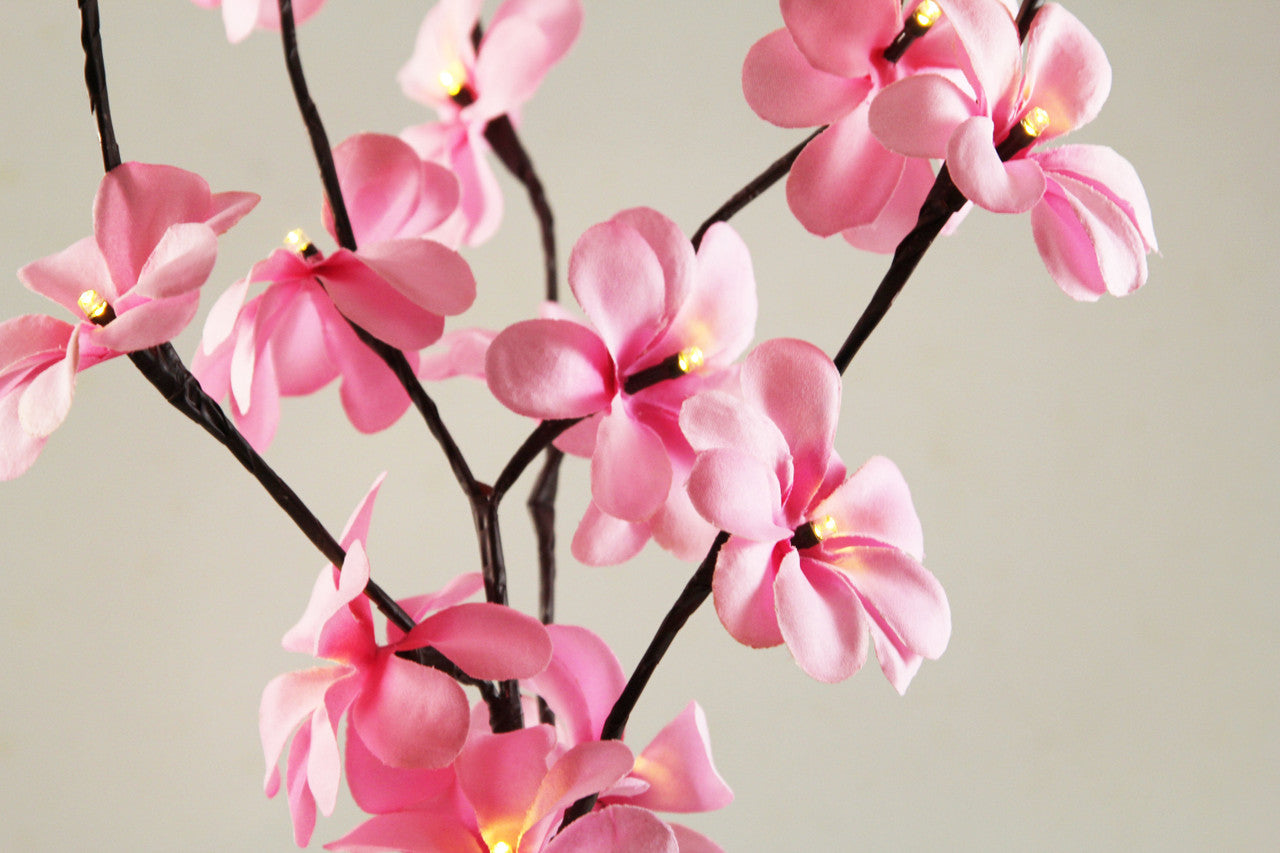 1 Set of 50cm H 20 LED Pink Frangipani Tree Branch Stem Fairy Light Wedding Event Party Function Table Vase V382-PKFRANGISTEMBATT