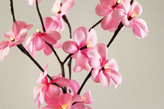 1 Set of 50cm H 20 LED Pink Frangipani Tree Branch Stem Fairy Light Wedding Event Party Function Table Vase V382-PKFRANGISTEMBATT