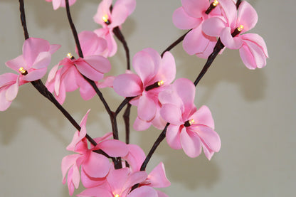 1 Set of 50cm H 20 LED Pink Frangipani Tree Branch Stem Fairy Light Wedding Event Party Function Table Vase V382-PKFRANGISTEMBATT