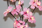 1 Set of 50cm H 20 LED Pink Frangipani Tree Branch Stem Fairy Light Wedding Event Party Function Table Vase V382-PKFRANGISTEMBATT