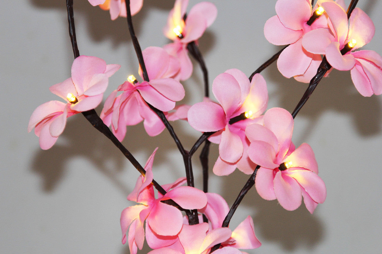 1 Set of 50cm H 20 LED Pink Frangipani Tree Branch Stem Fairy Light Wedding Event Party Function Table Vase V382-PKFRANGISTEMBATT