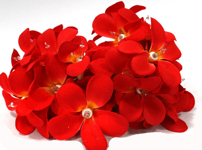 1 Set of 20 LED Deep Red Frangipani Flower Battery String Lights Christmas Gift Home Wedding Party Decoration V382-REDFRANGIBATT20