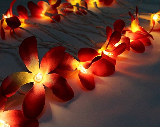 1 Set of 20 LED Deep Red Frangipani Flower Battery String Lights Christmas Gift Home Wedding Party Decoration V382-REDFRANGIBATT20