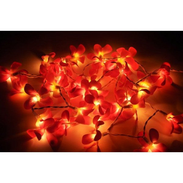 1 Set of 20 LED Deep Red Frangipani Flower Battery String Lights Christmas Gift Home Wedding Party Decoration V382-REDFRANGIBATT20