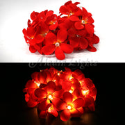 1 Set of 20 LED Deep Red Frangipani Flower Battery String Lights Christmas Gift Home Wedding Party Decoration V382-REDFRANGIBATT20