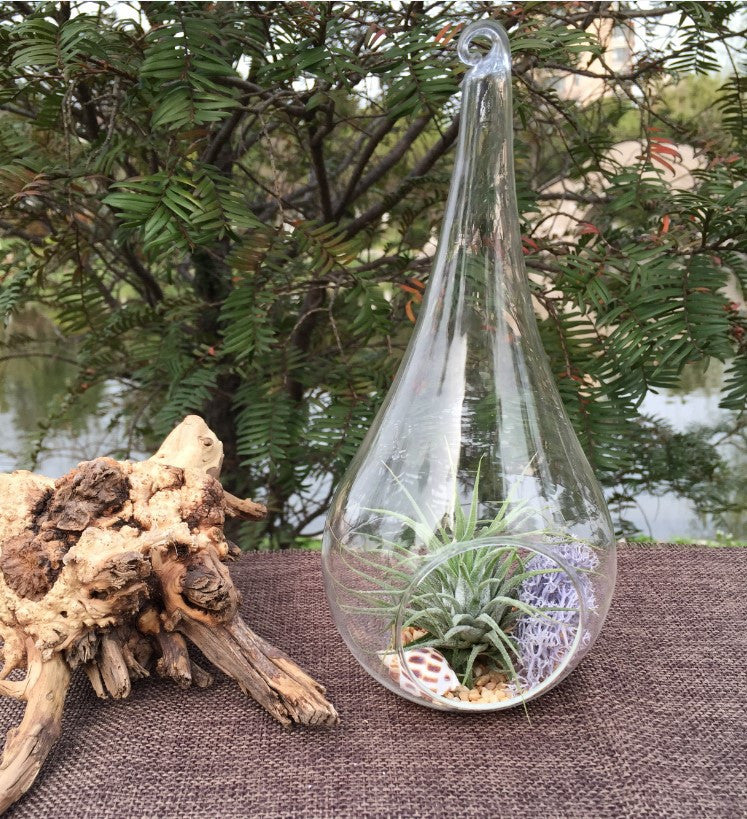 10 Pack of Hanging Clear Glass Tealight Candle Holder Tear Drop Pear Shape - 12cm High - Terrarium Plant Mini V382-TRDRPSMLX10
