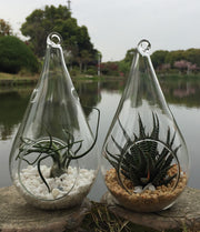 25 Bulk Pack of Hanging Clear Glass Tealight Candle Holder Tear Drop Pear Shape - 12cm High - Terrarium Plant V382-TRDRPSMLX25