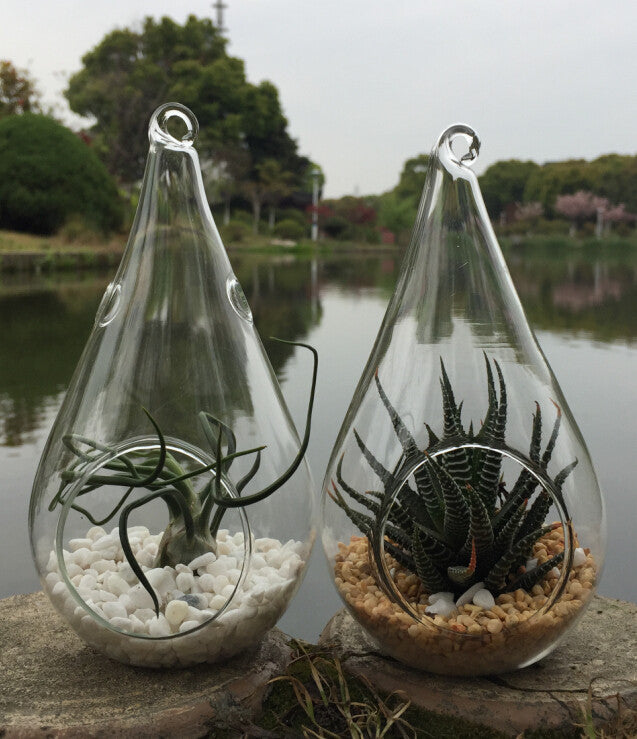 4 Pack of Hanging Clear Glass Tealight Candle Holder Tear Drop Pear Shape - 12cm High - Terrarium Plant Mini V382-TRDRPSMLX4