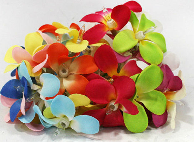 1 Set of 20 LED Tropical Bright Colous Frangipani Flower Battery String Lights Christmas Gift Home Wedding V382-TROPFRANGIBATT20