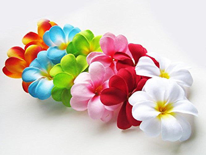 1 Set of 20 LED Tropical Bright Colous Frangipani Flower Battery String Lights Christmas Gift Home Wedding V382-TROPFRANGIBATT20