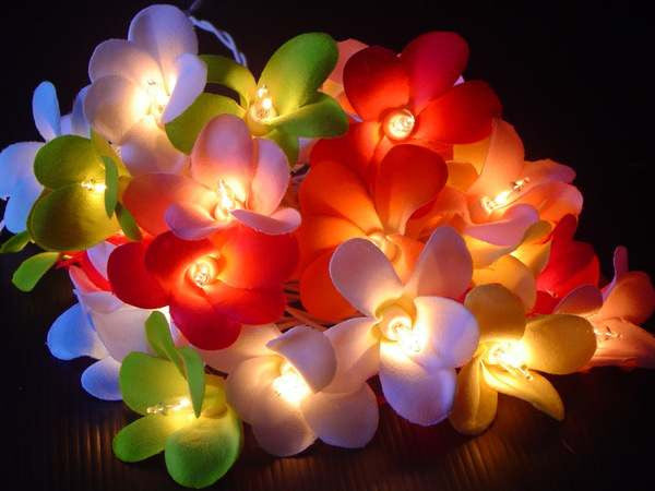 1 Set of 20 LED Tropical Bright Colous Frangipani Flower Battery String Lights Christmas Gift Home Wedding V382-TROPFRANGIBATT20