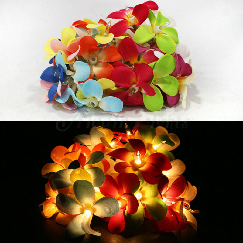 1 Set of 20 LED Tropical Bright Colous Frangipani Flower Battery String Lights Christmas Gift Home Wedding V382-TROPFRANGIBATT20