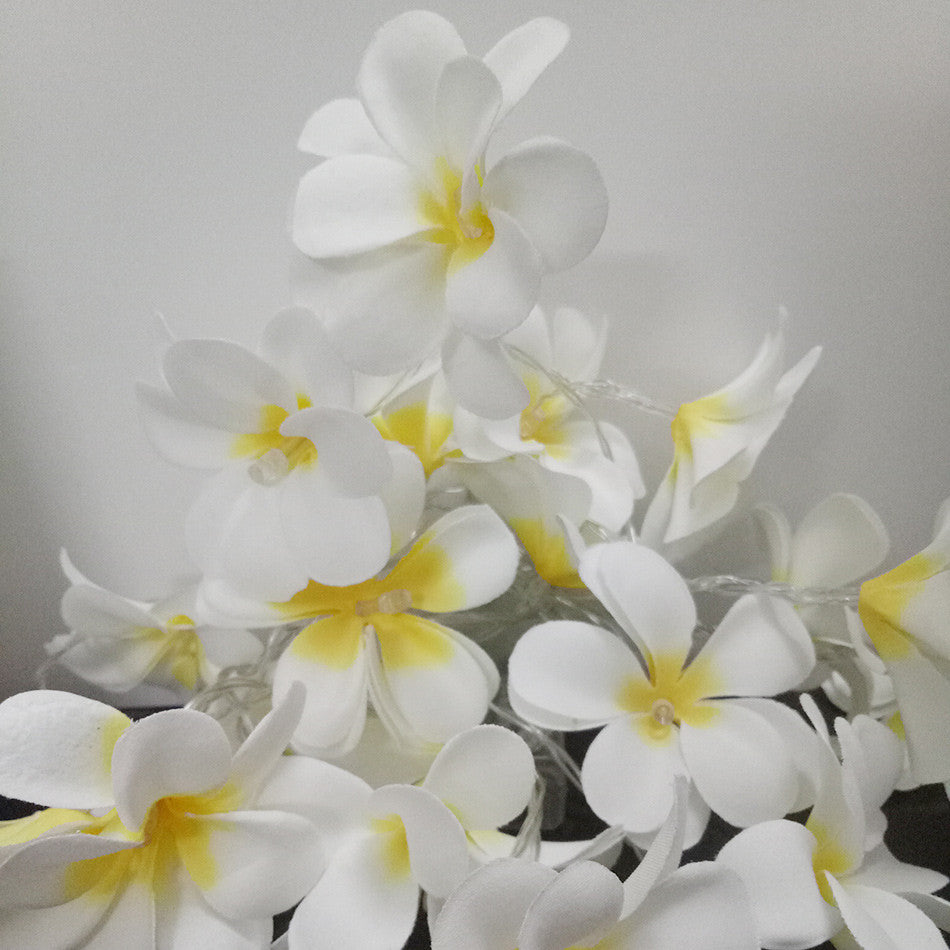 1 Set of 20 LED White Frangipani Flower Battery String Lights Christmas Gift Home Wedding Beach Party V382-WHFRANGIBATT20