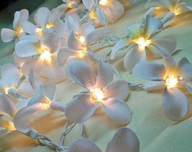 1 Set of 20 LED White Frangipani Flower Battery String Lights Christmas Gift Home Wedding Beach Party V382-WHFRANGIBATT20
