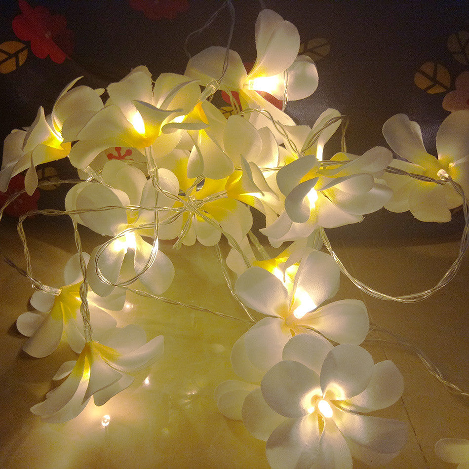 1 Set of 20 LED White Frangipani Flower Battery String Lights Christmas Gift Home Wedding Beach Party V382-WHFRANGIBATT20