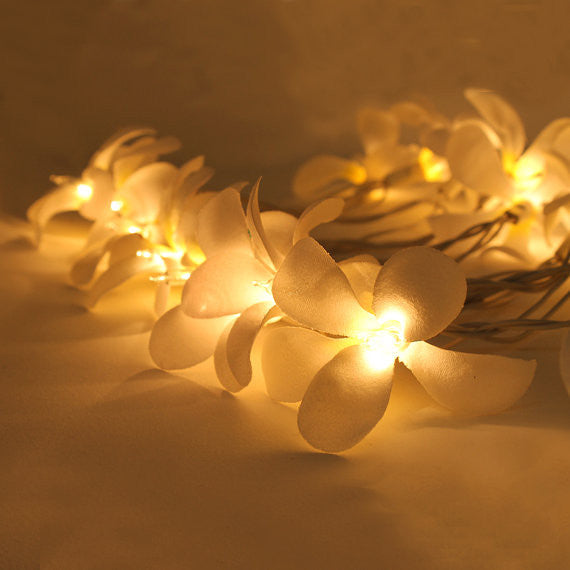 1 Set of 20 LED White Frangipani Flower Battery String Lights Christmas Gift Home Wedding Beach Party V382-WHFRANGIBATT20