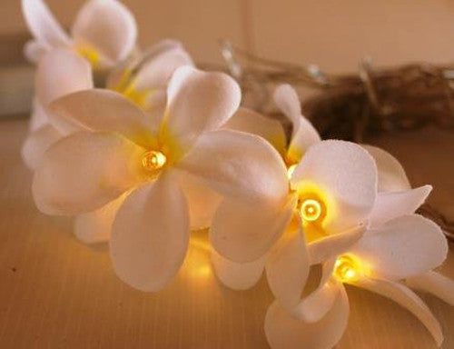 1 Set of 20 LED White Frangipani Flower Battery String Lights Christmas Gift Home Wedding Beach Party V382-WHFRANGIBATT20