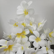 1 Set of 20 LED White Frangipani Flower Battery String Lights Christmas Gift Home Wedding Beach Party V382-WHFRANGIBATT20