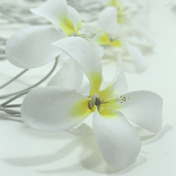 1 Set of 20 LED White Frangipani Flower Battery String Lights Christmas Gift Home Wedding Beach Party V382-WHFRANGIBATT20