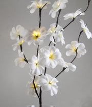 1 Set of 50cm H 20 LED White Frangipani Tree Branch Stem Fairy Light Wedding Event Party Function Table Vase V382-WHFRANGISTEMBATT