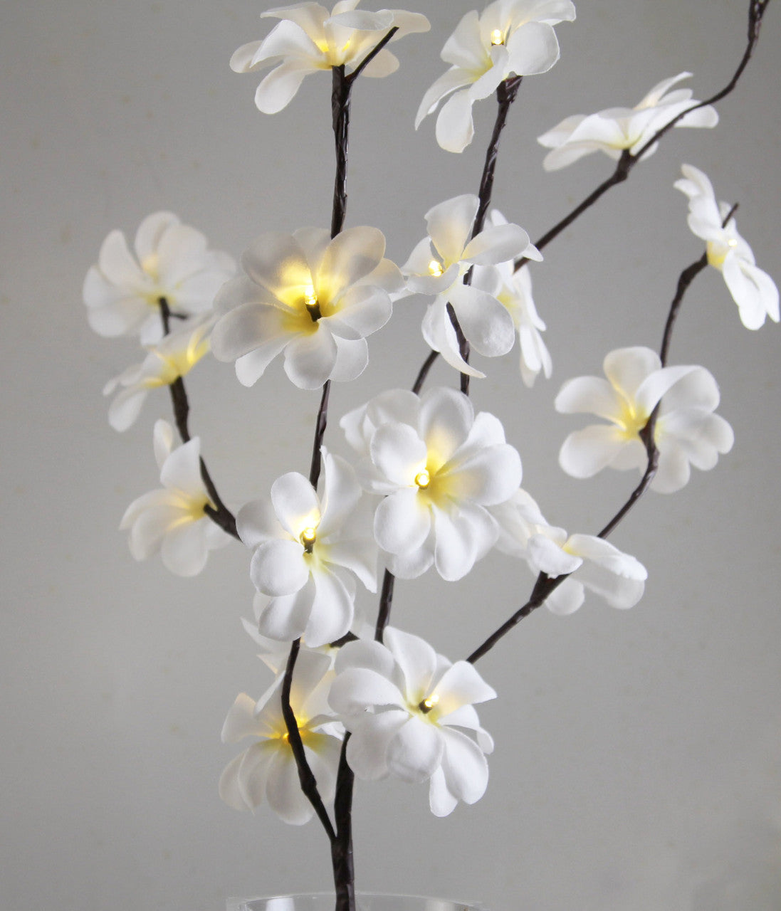 1 Set of 50cm H 20 LED White Frangipani Tree Branch Stem Fairy Light Wedding Event Party Function Table Vase V382-WHFRANGISTEMBATT
