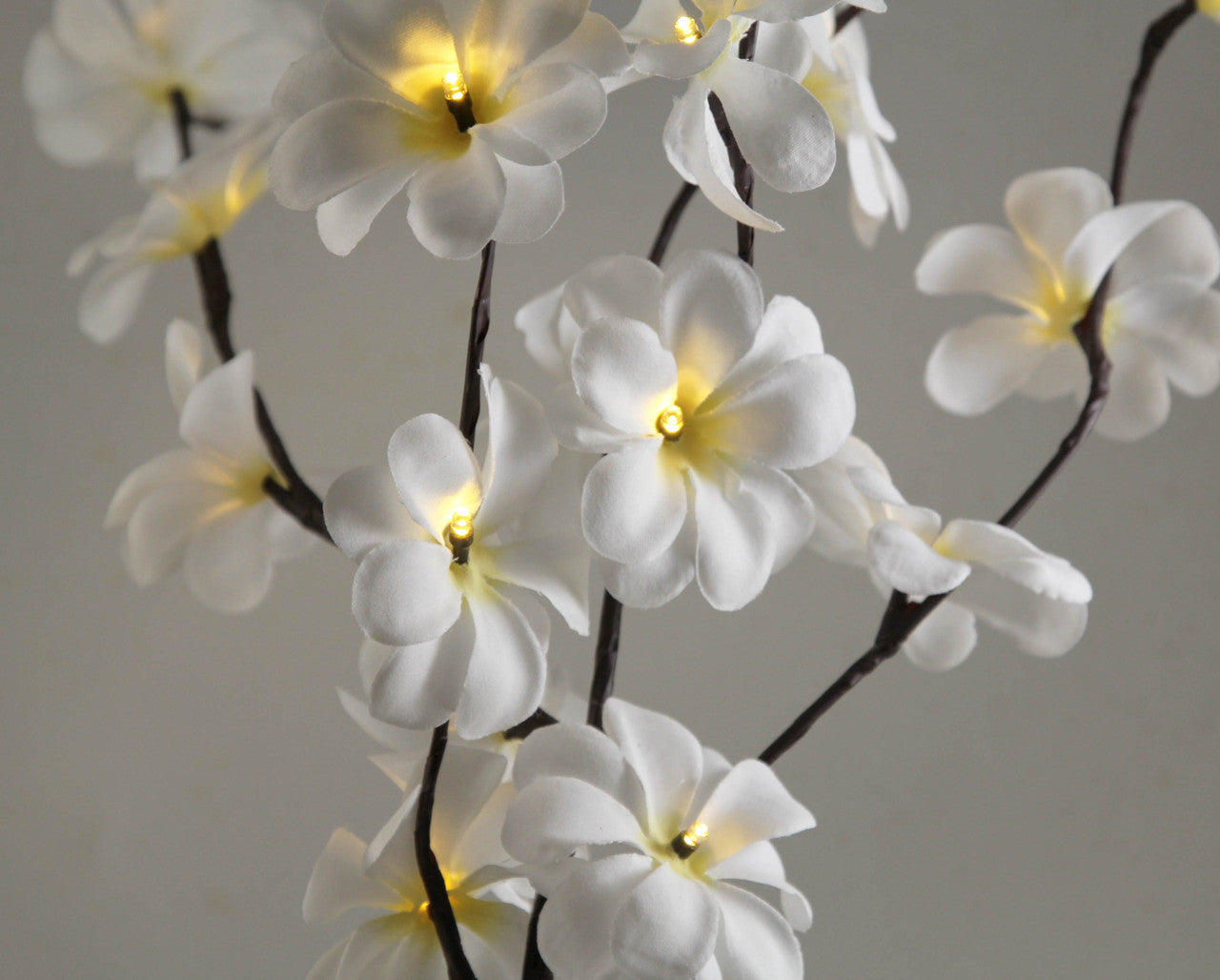 1 Set of 50cm H 20 LED White Frangipani Tree Branch Stem Fairy Light Wedding Event Party Function Table Vase V382-WHFRANGISTEMBATT